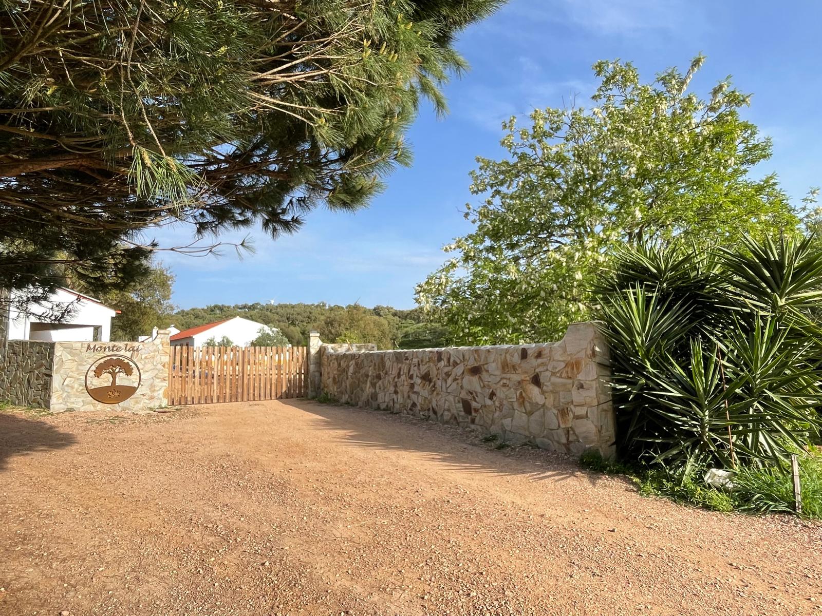 Monte LAI